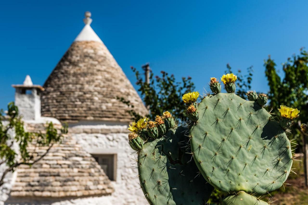 Trullo Picchiagiuda Villa Ostuni Exterior photo